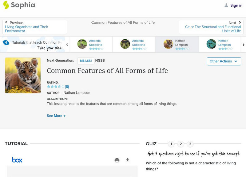 Sophia: Common Features of All Forms of Life Activity Sophia: Common Features of All Forms of Life Activity