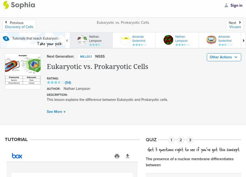 Sophia: Eukaryotic vs. Prokaryotic Cells PPT Sophia: Eukaryotic vs. Prokaryotic Cells PPT