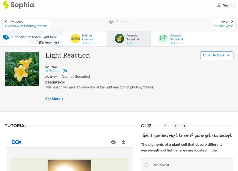 Sophia: Light Reaction PPT Sophia: Light Reaction PPT