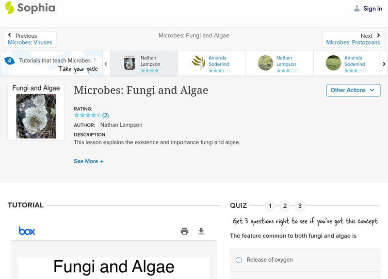 Sophia: Microbes: Fungi and Algae PPT Sophia: Microbes: Fungi and Algae PPT