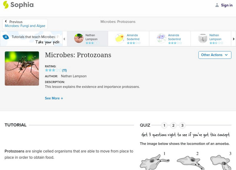 Sophia: Microbes: Protozoans Unit Plan Sophia: Microbes: Protozoans Unit Plan