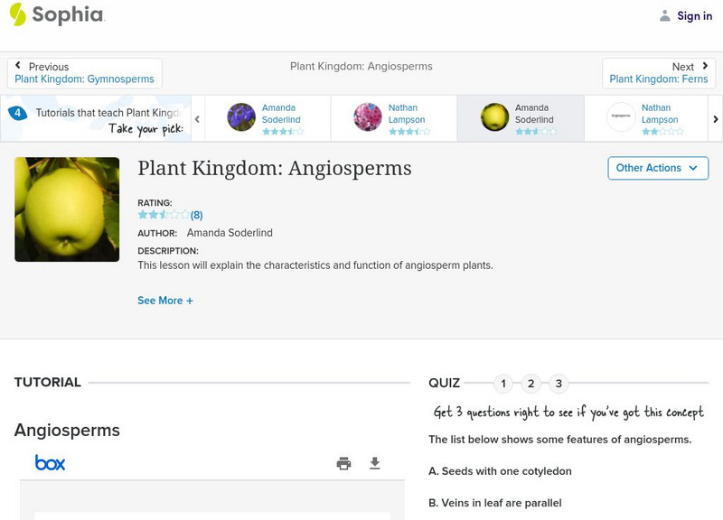Sophia: Plant Kingdom: Angiosperms PPT Sophia: Plant Kingdom: Angiosperms PPT