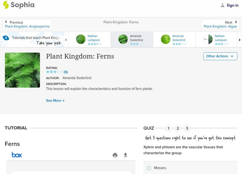 Sophia: Plant Kingdom: Ferns Unit Plan
