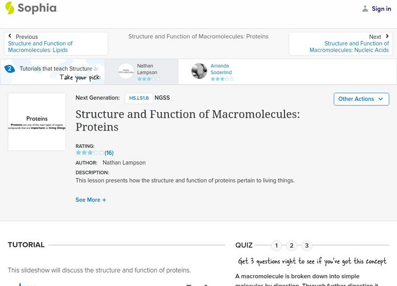 Sophia: Structure and Function of Macromolecules: Proteins PPT Sophia: Structure and Function of Macromolecules: Proteins PPT