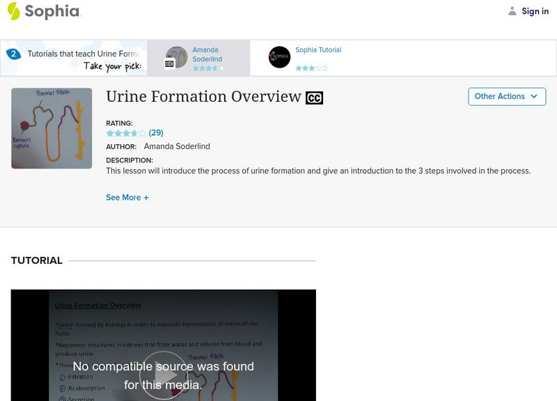 Sophia: Urine Formation Overview Instructional Video Sophia: Urine Formation Overview Instructional Video