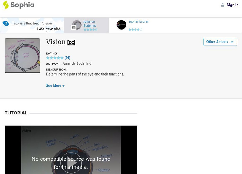 Sophia: Vision Instructional Video