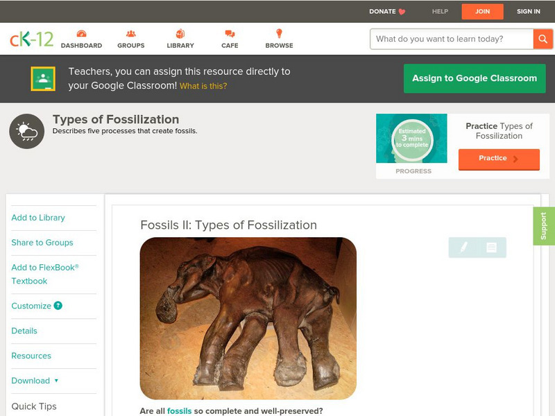 Ck 12: Earth Science: Types of Fossilization Unit Plan Ck 12: Earth Science: Types of Fossilization Unit Plan
