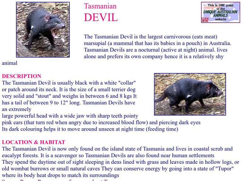 Unique Australian Animals: Tasmanian Devil Handout Unique Australian Animals: Tasmanian Devil Handout