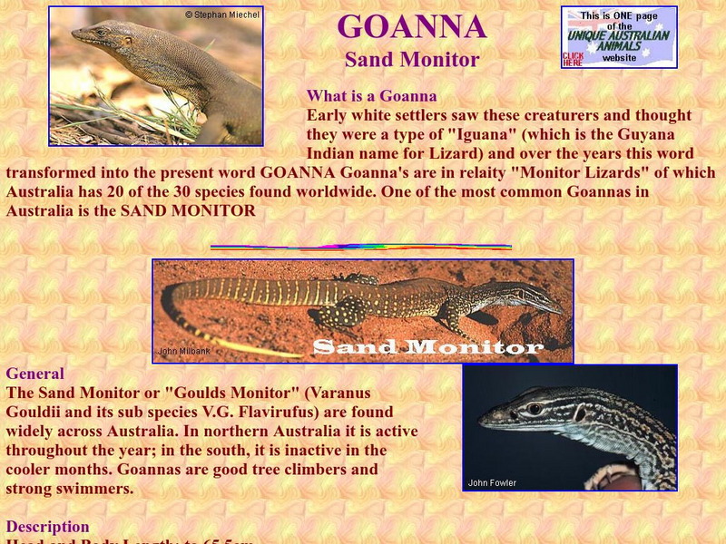 Unique Australian Animals: Goanna Handout Unique Australian Animals: Goanna Handout