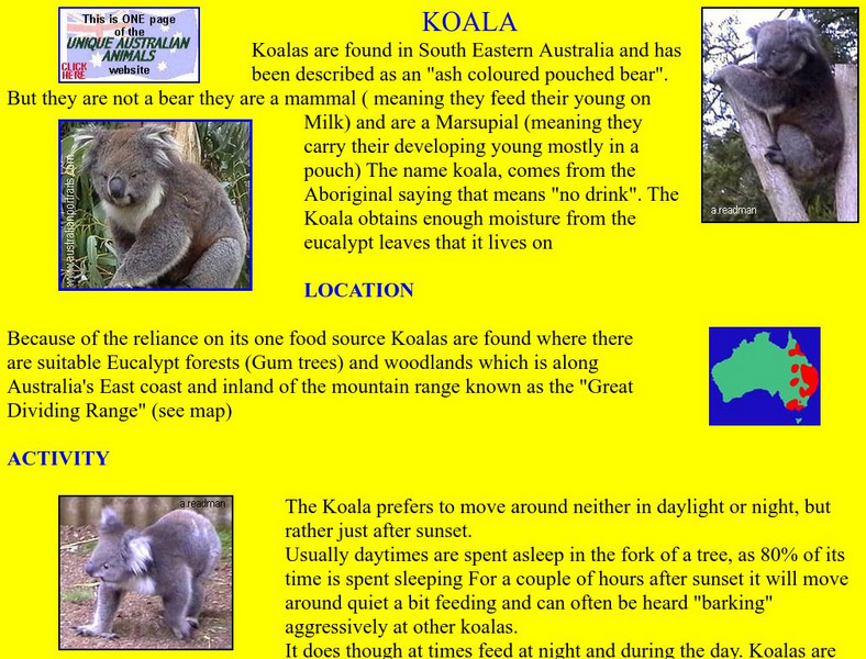 Unique Australian Animals: Koala Handout Unique Australian Animals: Koala Handout