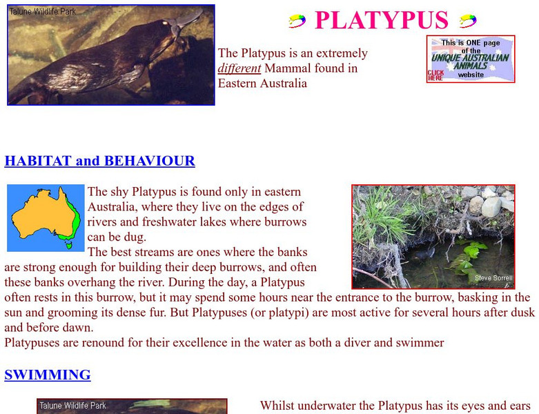 Unique Australian Animals: Platypus Handout Unique Australian Animals: Platypus Handout