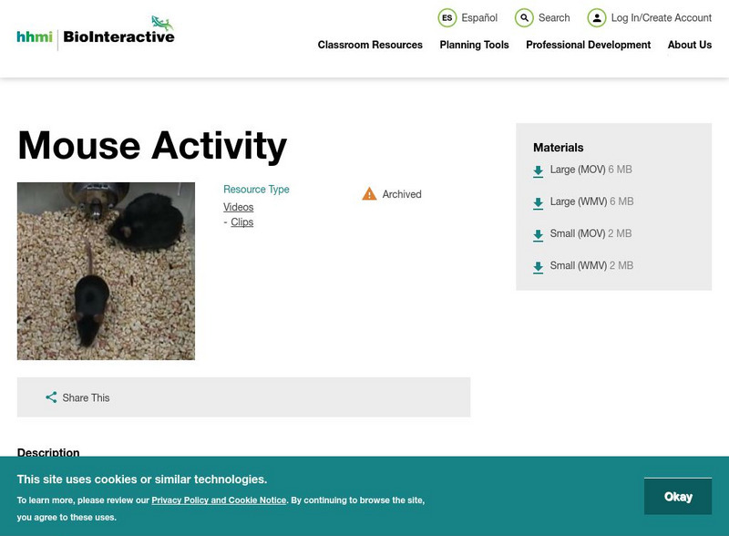 Hhmi: Bio Interactive: Mouse Activity Instructional Video Hhmi: Bio Interactive: Mouse Activity Instructional Video