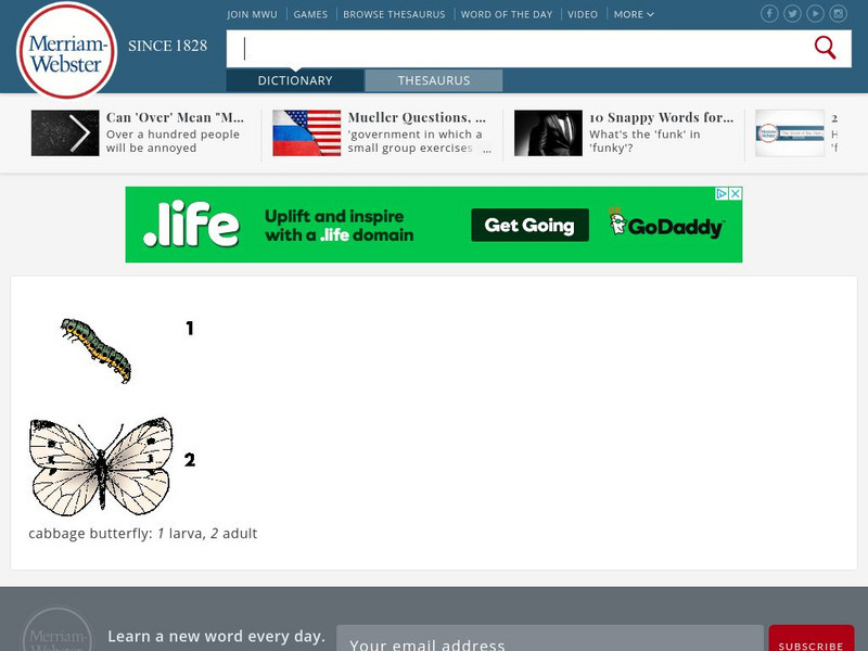 Merriam Webster: Dictionary Illustration: Cabbage Butterfly Graphic Merriam Webster: Dictionary Illustration: Cabbage Butterfly Graphic