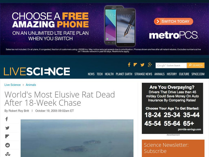 Live Science: World's Most Elusive Rat Dead After 18 Week Chase Article