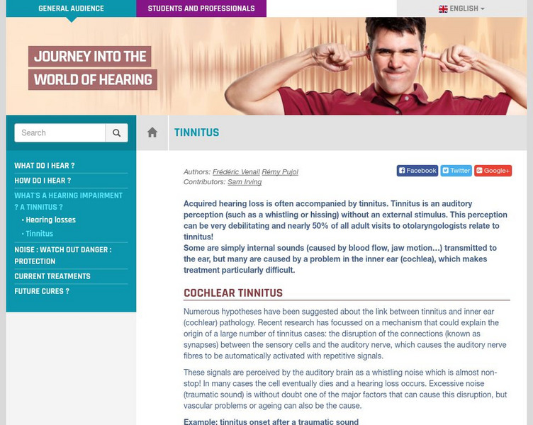 Journey Into the World of Hearing: Tinnitus Instructional Video