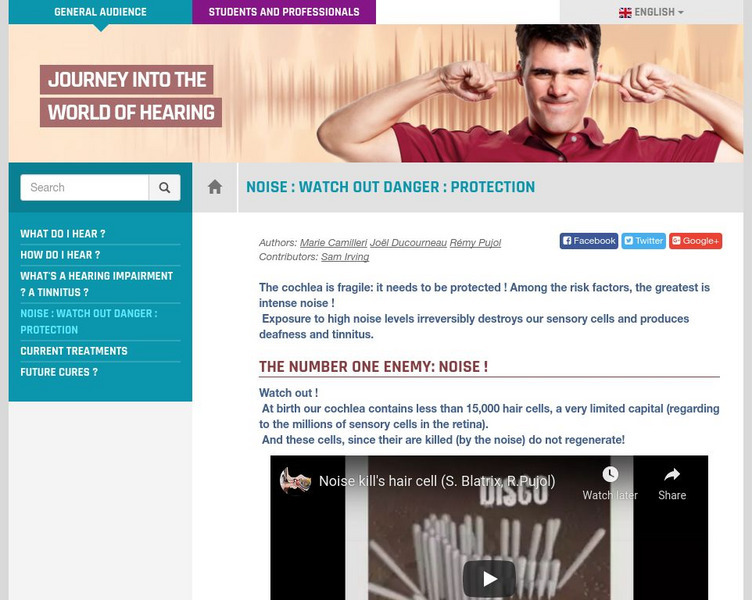 Journey Into the World of Hearing: Noise Instructional Video