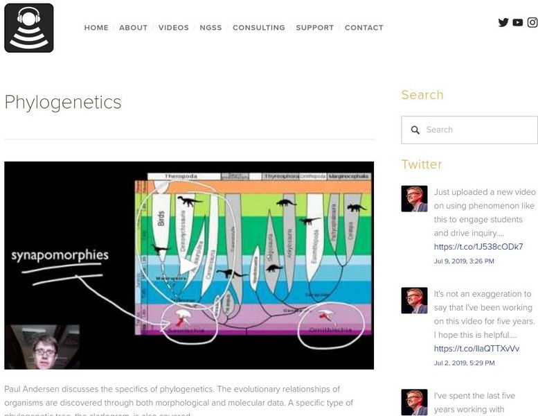 Bozeman Science: Phylogenetics Instructional Video