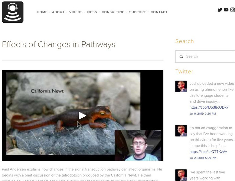 Bozeman Science: Effects of Changes in Pathways Instructional Video Bozeman Science: Effects of Changes in Pathways Instructional Video