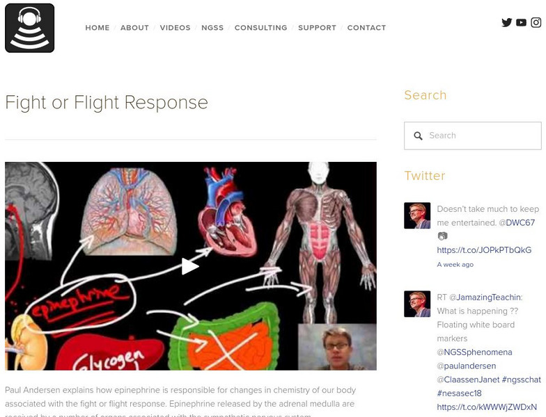 Bozeman Science: Fight or Flight Response Instructional Video Bozeman Science: Fight or Flight Response Instructional Video