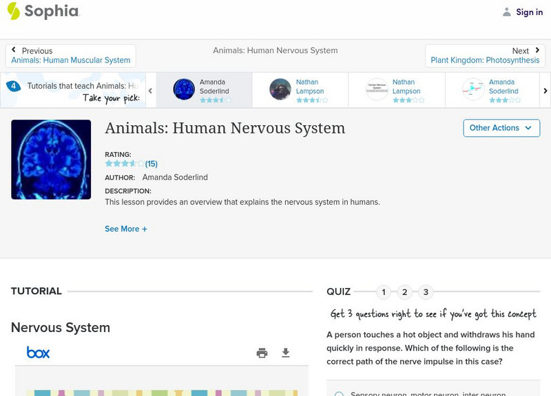 Sophia: Animals: Human Nervous System Activity