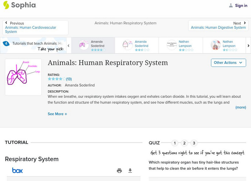 Sophia: Animals: Human Respiratory System Activity Sophia: Animals: Human Respiratory System Activity