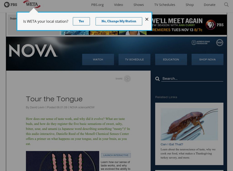 Pbs Nova: Tour the Tongue Interactive