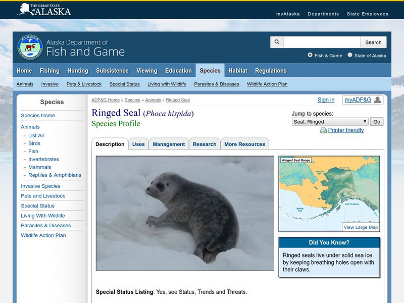 Alaska Fish and Game: Ringed Seal Activity Alaska Fish and Game: Ringed Seal Activity