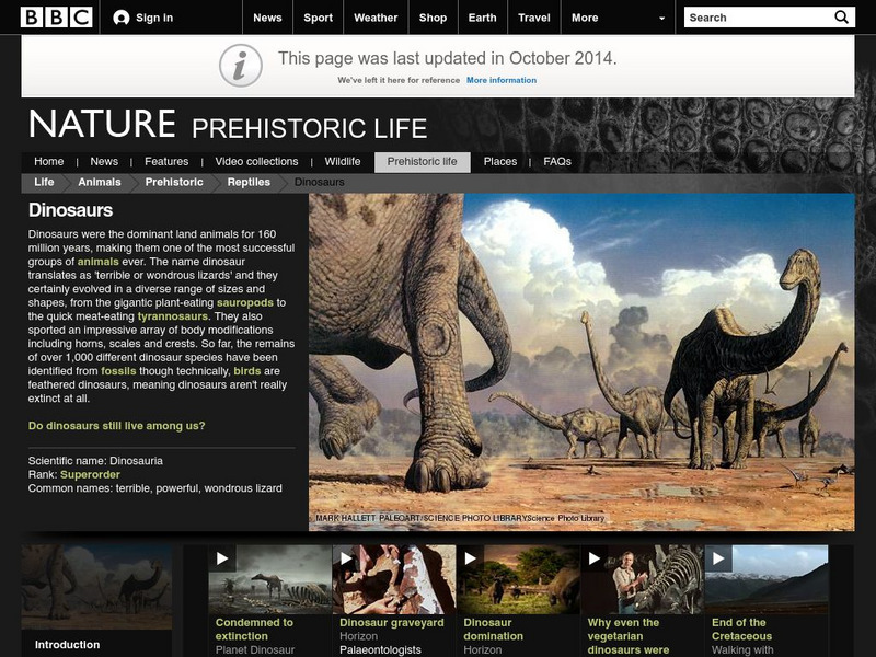 Bbc: Rise and Fall of the Dinosaurs Website Bbc: Rise and Fall of the Dinosaurs Website
