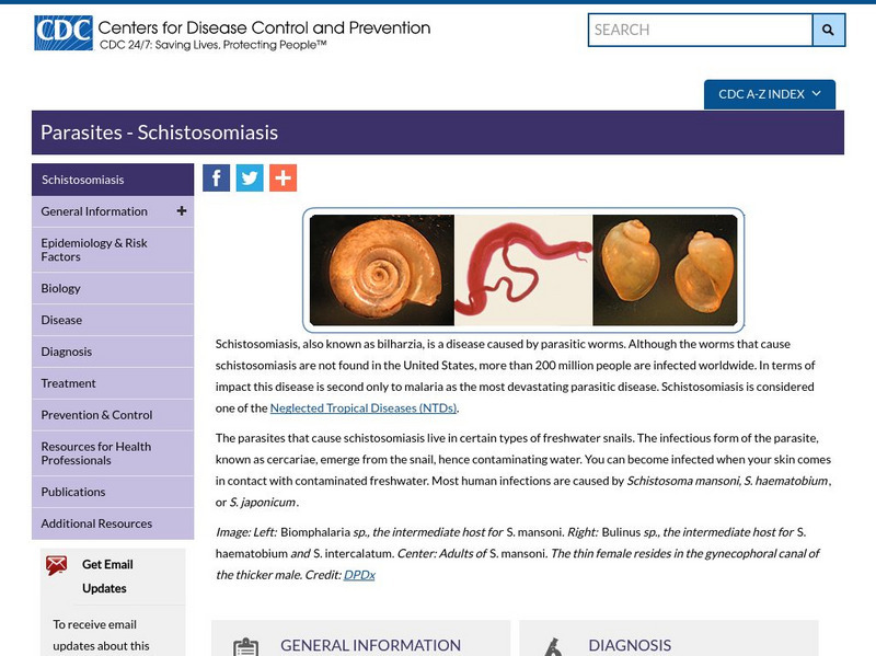 Centers for Disease Control: Schistosomiasis Handout Centers for Disease Control: Schistosomiasis Handout