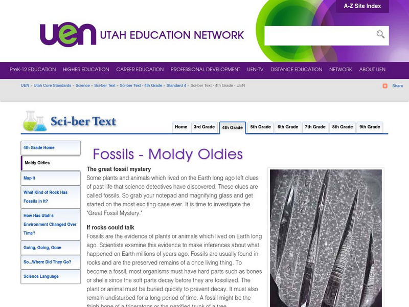 Uen: Fossils Moldy Oldies Activity Uen: Fossils Moldy Oldies Activity