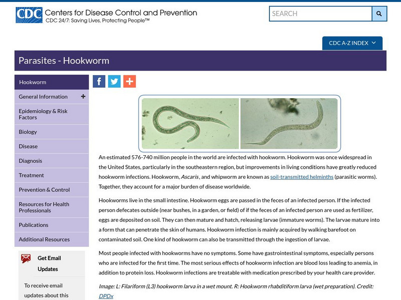 Centers for Disease Control: Hookworm Handout