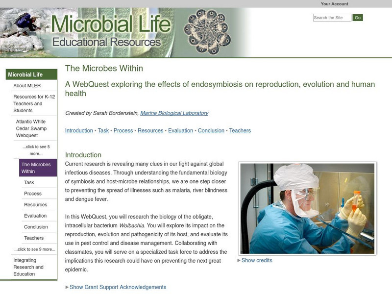 Serc: Microbial Life: The Microbes Within: Webquest Handout Serc: Microbial Life: The Microbes Within: Webquest Handout