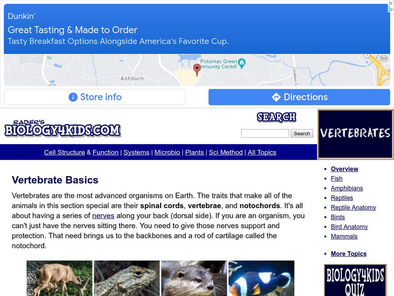 Biology4 Kids: Vertebrates Activity Biology4 Kids: Vertebrates Activity