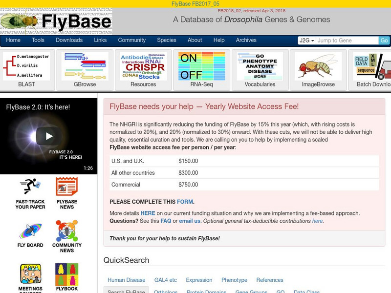 Fly Base Website