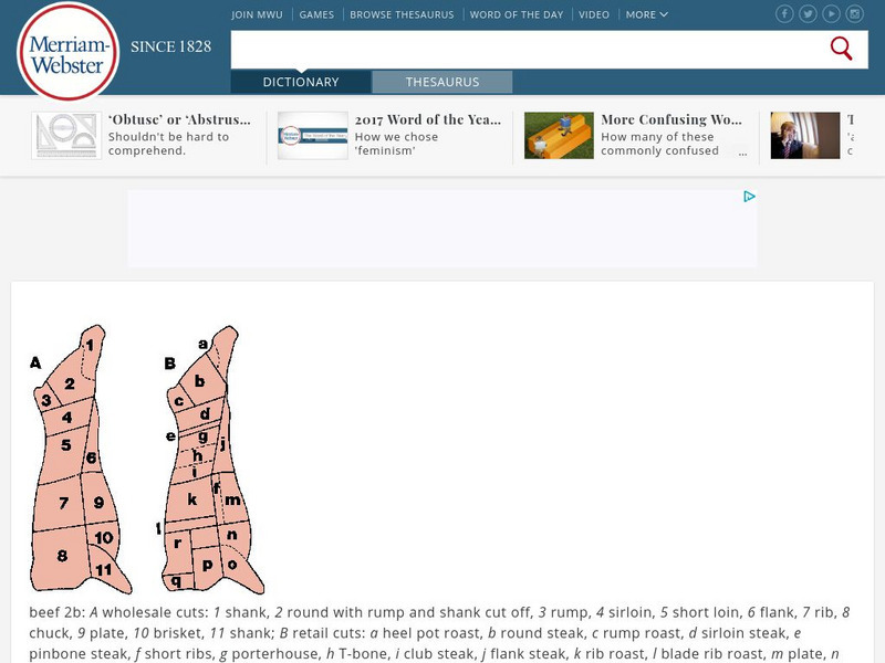 Merriam Webster: Dictionary Illustration: Beef Graphic Merriam Webster: Dictionary Illustration: Beef Graphic
