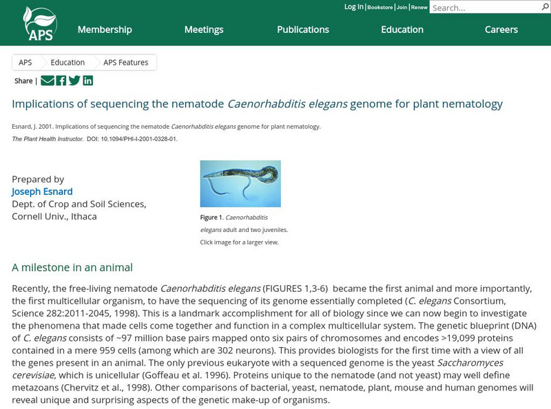 Implications of Sequencing Caenorhabditis Elegans Genome for Plant Nematology Article Implications of Sequencing Caenorhabditis Elegans Genome for Plant Nematology Article