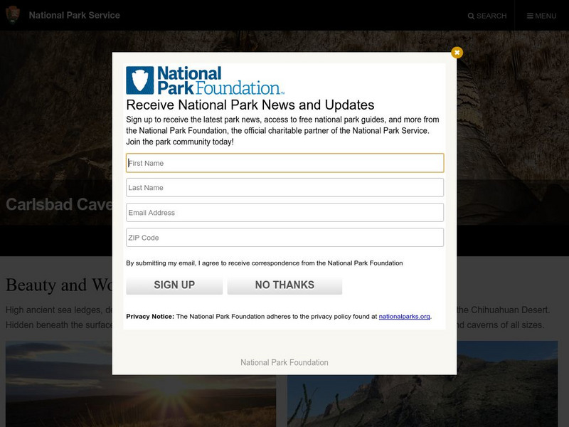 National Park Service: Carlsbad Caverns National Park Handout National Park Service: Carlsbad Caverns National Park Handout