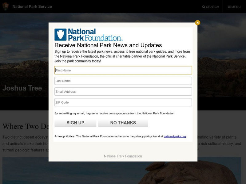 National Park Service: Joshua Tree Website National Park Service: Joshua Tree Website