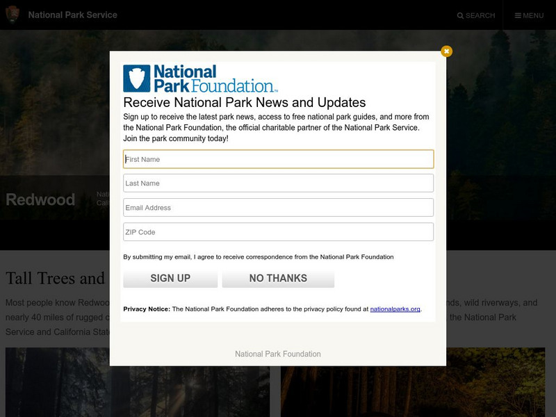 National Park Service: Redwood Website