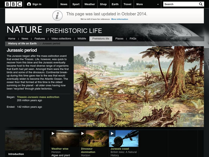 Bbc Nature: Prehistoric Life: Jurassic Period Website Bbc Nature: Prehistoric Life: Jurassic Period Website