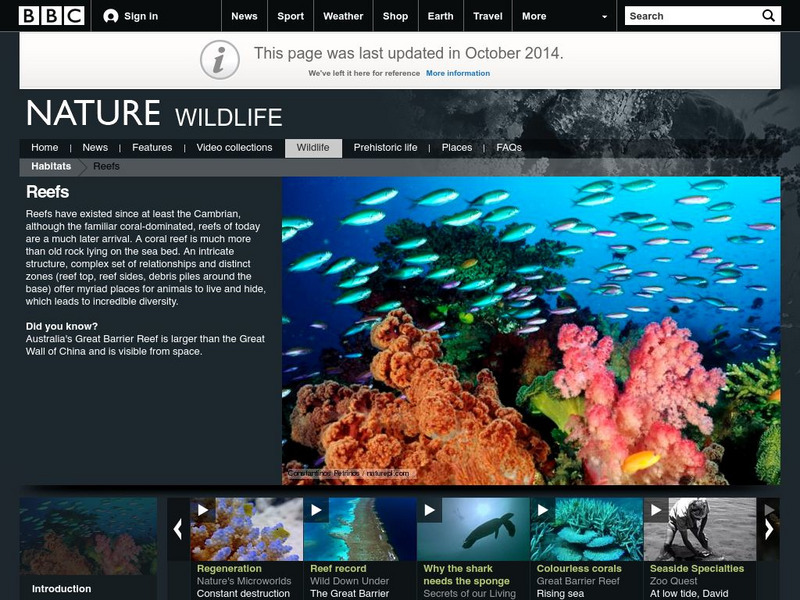 Bbc Nature: Wildlife: Reefs Handout Bbc Nature: Wildlife: Reefs Handout