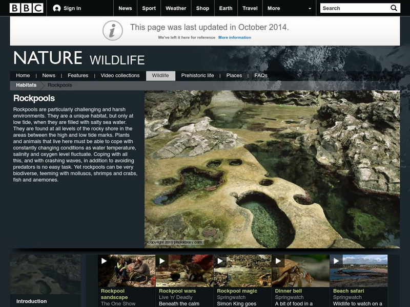Bbc Nature: Wildlife: Rockpools Handout Bbc Nature: Wildlife: Rockpools Handout