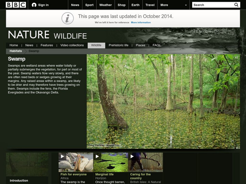 Bbc Nature: Wildlife: Swamp Handout Bbc Nature: Wildlife: Swamp Handout