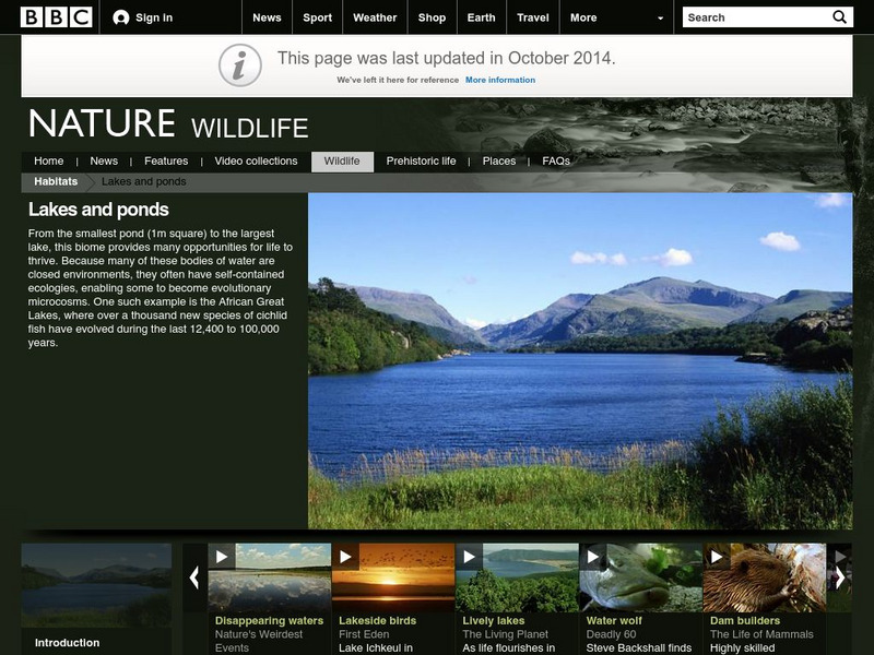 Bbc Nature: Wildlife: Lakes and Ponds Handout