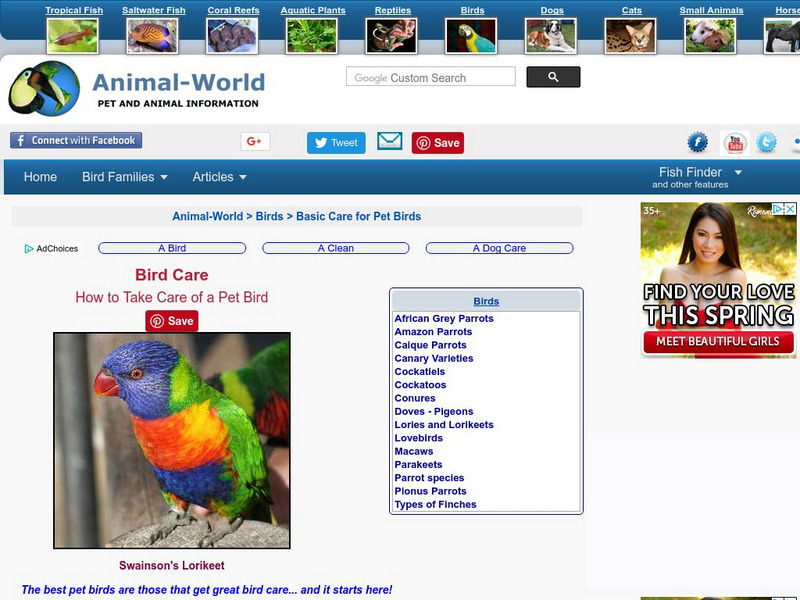Basic Bird Care: Parrots Finches Canaries Website Basic Bird Care: Parrots Finches Canaries Website