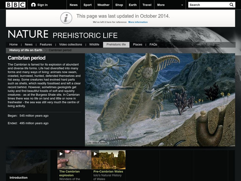 Bbc Nature: Prehistoric Life: Cambrian Period Handout Bbc Nature: Prehistoric Life: Cambrian Period Handout