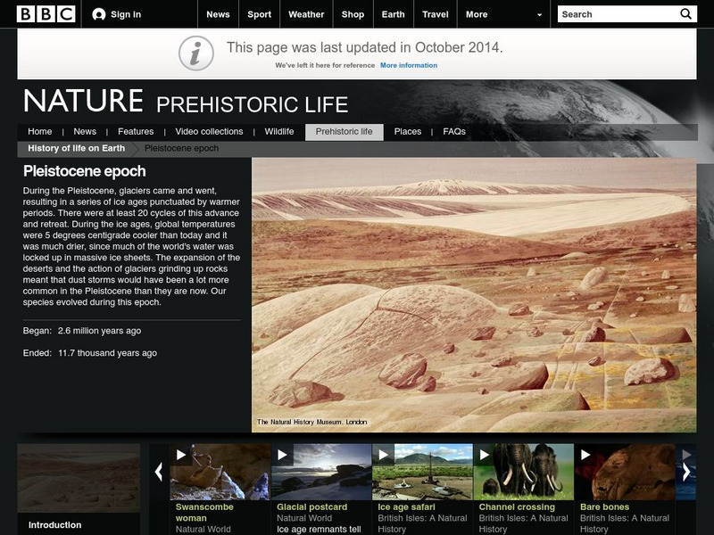 Bbc Nature: Prehistoric Life: Pleistocene Epoch Handout Bbc Nature: Prehistoric Life: Pleistocene Epoch Handout