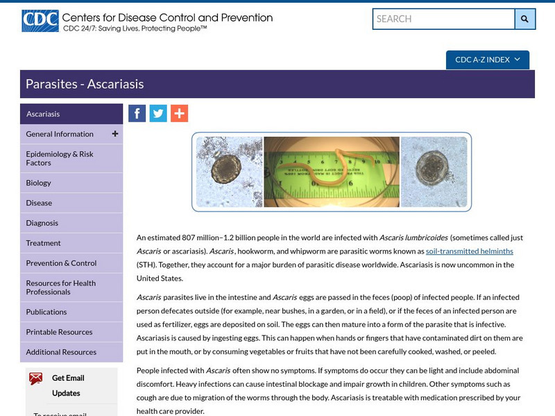 Centers for Disease Control: Ascaris Infection Handout