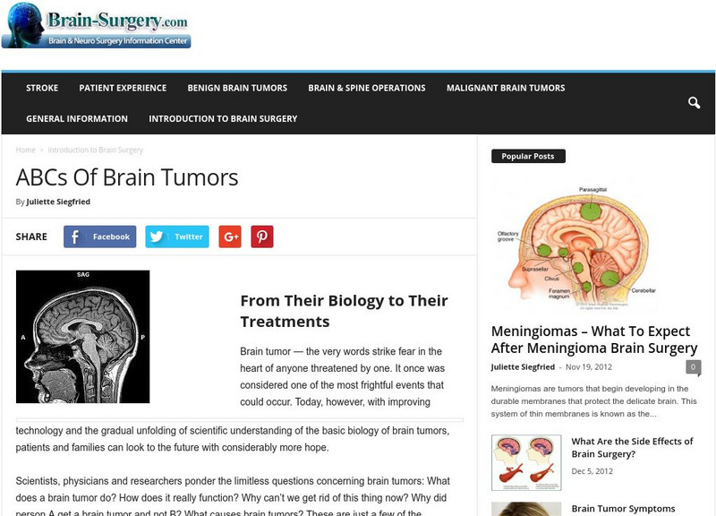 Bsic: Abc's of Brain Tumors Handout Bsic: Abc's of Brain Tumors Handout
