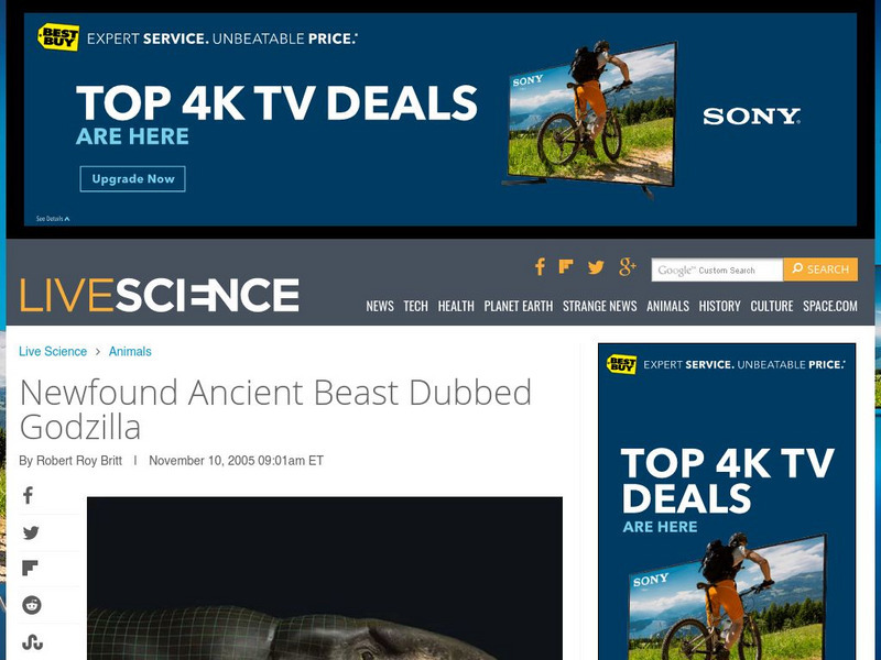 Newfound Ancient Beast Dubbed Godzilla Article
